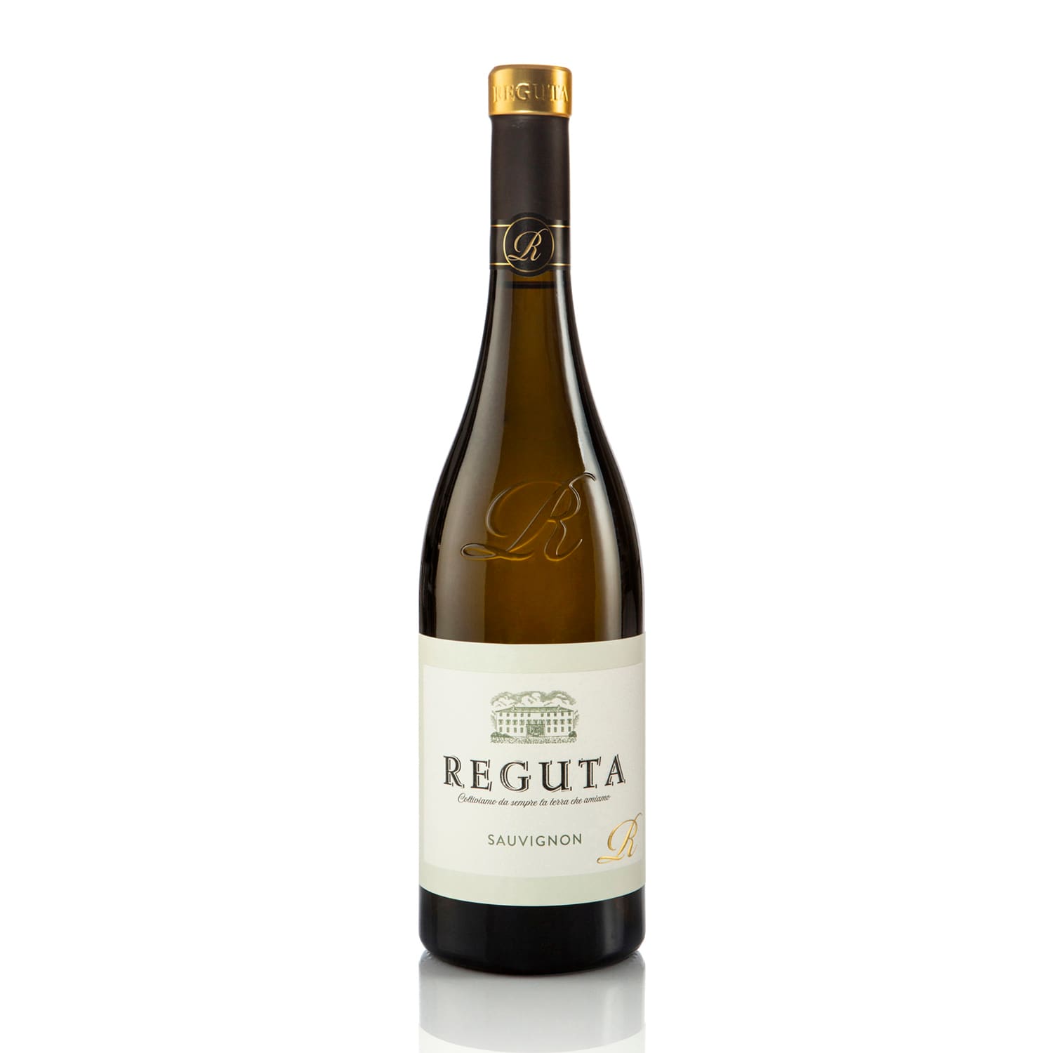 Sauvignon, IGP Trevenezie, Reguta