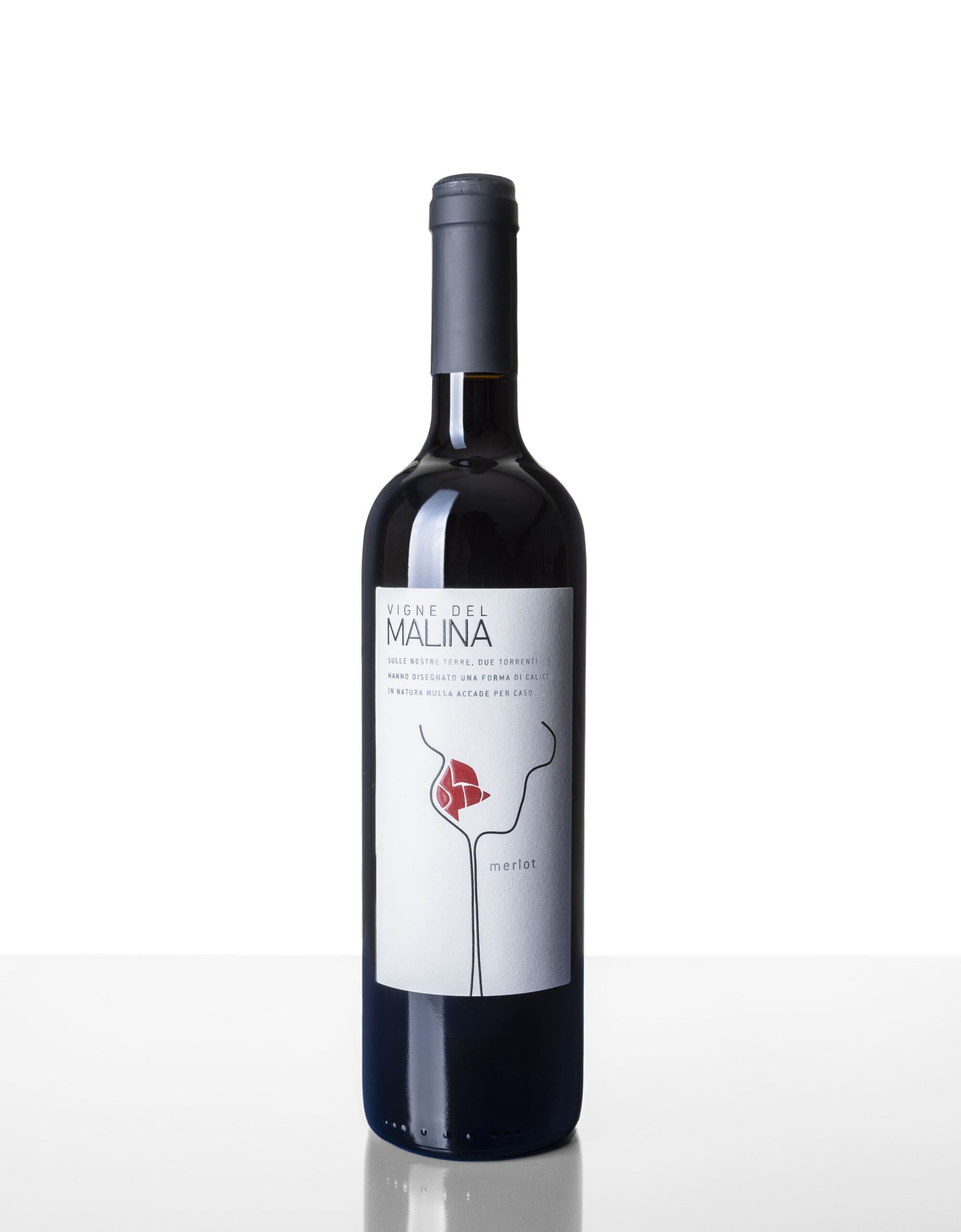 Vigne del Malina - Merlot IGT Venezia Giulia - Direct EXW B2B Italian Wine Sourcing
