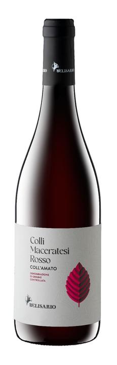 Coll'amato Colli Maceratesi Rosso, DOC Colli Maceratesi, Cantine Belisario