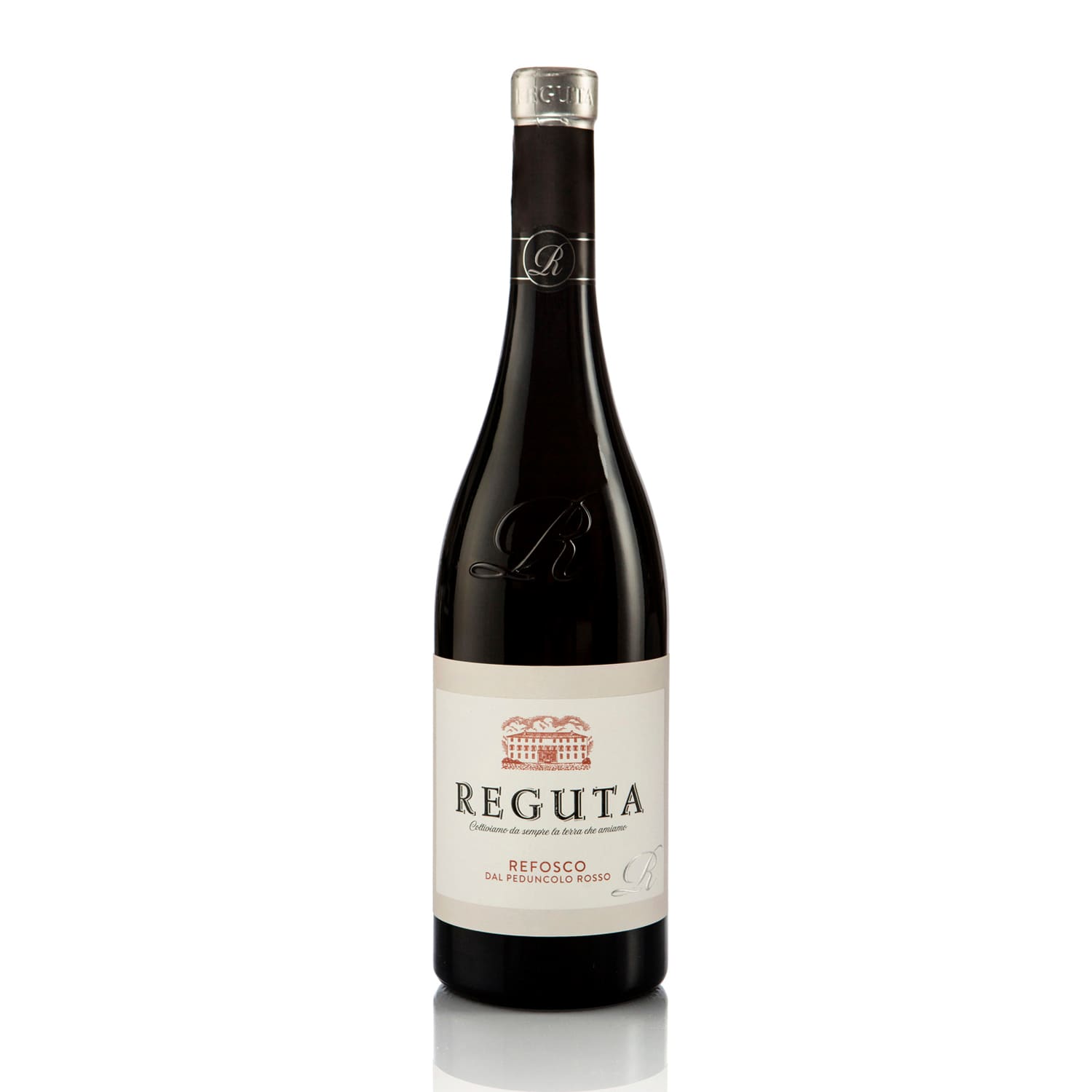 Refosco dal Peduncolo Rosso, IGP Trevenezie, Reguta