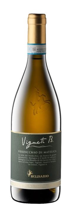 Vigneti B Verdicchio di Matelica bio, DOC di Matelica, Cantine Belisario