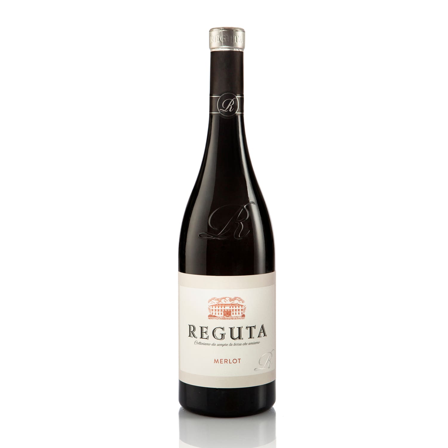 Merlot, IGP Trevenezie, Reguta